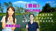 一首淡忘的歌《假如》,陈美龄演唱的柔美跳跃音乐背景音乐视频音乐爱奇艺