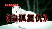 4分钟民间故事《白狐复仇》:贪酒猎户不识劝,射杀白狐把命献电影完整版视频在线观看爱奇艺