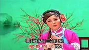 黄梅戏《商女春秋》选段适才遇乡邻黄梅戏《商女春秋》选段适才遇乡邻综艺节目完整版视频在线观看爱奇艺