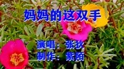 张狄演唱《妈妈这双手》歌词真实令人感动,一首对妈妈温情的赞歌音乐背景音乐视频音乐爱奇艺