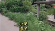 南充抖音网红“四川小龙”原来是仪陇的.旅游完整版视频在线观看爱奇艺