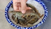 这才是油焖大虾好吃到舔手指的做法，做法步骤详细，香酥入味过瘾