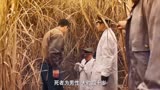 《远山淡影》女孩要保护好自己，看画像师如何画出凶手！