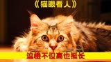 给你20万，你敢挑战吗？结局让人细思极恐！《猫眼看人》