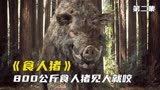 食人猪为了给妻儿报仇，疯狂屠村《食人猪》