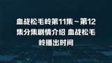 血战松毛岭第11集～第12集分集剧情介绍 血战松毛岭播出时间