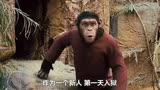 猩球崛起：黑猩猩不慎入狱，却在里面成为王者，带领猩猩军团大战