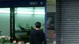 暗战第4集：罪犯挑战警方，车上逃亡，偶遇美女，通过美女救了自己，又捕获芳心