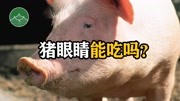 猪眼睛能吃吗?