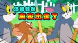 猫和老鼠：汤姆竟然离家出走了！