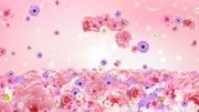 唯美花海花朵玫瑰花瓣飞舞婚礼舞台LED大屏幕背景短片视频素材14