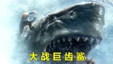 惊悚电影《巨齿鲨》：海洋里最可怕的存在，巨齿鲨到底有多猛