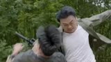 《狂鳄》惊险一刻，樊少皇误入野外禁地，血战狂鳄刺激升级