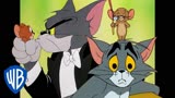 猫和老鼠：汤姆呼叫捕鼠大队，杰瑞会如何应对？