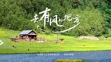 流行古琴曲｜《去有风的地方》重新获得力量
