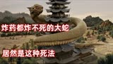 带你一口气看完最新电影“黄河巨蛇事件” 浮棺出 大蛇现