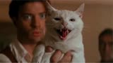 木乃伊：男子拿出了一只小猫，怎料木乃伊直接被吓跑，竟是怕猫