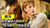 《战马》：史上最感人的战争片，一匹马的传奇战场生涯