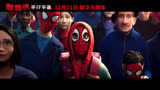 《蜘蛛侠：平行宇宙》平行宇宙 中国预告片4：人人都是蜘蛛侠版 