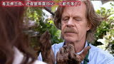 无耻之徒8～9季