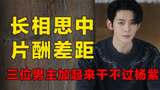 122长相思片酬差距，三位男主加起来干不过杨紫，张晚意低到离