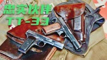 托卡列夫TT33手枪 苏军官兵“忠实的伙伴” 东方阵营的制式武器