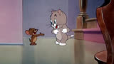 #搞笑动画#猫和老鼠#童年动画