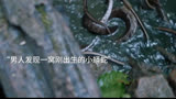 第2集｜《狂蟒之灾》2/3 尹子维最新国产惊悚片，国产片终于站起来了！ 