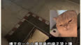 钢铁般的脖子 #cs #自古ct不抬头