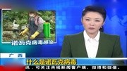 什么是诺瓦克病毒资讯搜索最新资讯爱奇艺