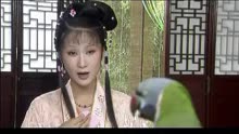 红楼梦宫锁极品杉杉来了电视剧男女日记珠帘最新a极品警匪电视剧排行榜图片