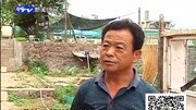 黑水虻养鸡:山东莱阳王焕勤有绝招资讯搜索最新资讯爱奇艺