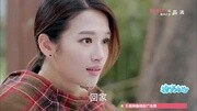 《神犬小七》来自星星的小七竟抗日?一丹临终托孤泪崩娱乐高清正版视频在线观看–爱奇艺