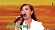 王雅洁&平安美丽中国(现场版)音乐背景音乐视频音乐爱奇艺