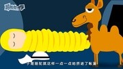 《屌丝心理学》之登门槛效应原创完整版视频在线观看爱奇艺