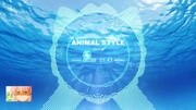 Jackal  Animal Style音乐完整版视频在线观看爱奇艺