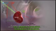 质子治疗原理v9配音字幕160430教育高清正版视频在线观看–爱奇艺