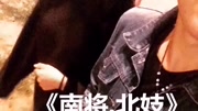 mc楚新-南疆北极
