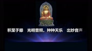 聆志居士_qq1064关注的视频-聆志居士_qq1064上传的视频-爱奇艺