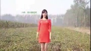 妹子真会玩,在农田庄稼地里这么兴奋,厉害了我的妹子原创完整版视频在线观看爱奇艺