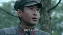 领袖 电视剧高清版