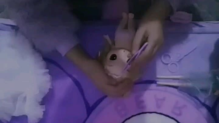 曼果小姐姐