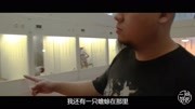 与张馨予一样喜欢养蜥蜴,广州嘻哈元老级Rapper创立珍宝堂娱乐完整版视频在线观看爱奇艺