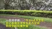 野猪闯进南京大学校园, 校区保卫处已确认资讯完整版视频在线观看爱奇艺