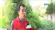 便捷!海口公交车设置共享零钱箱 可自助换硬币乘车资讯搜索最新资讯爱奇艺