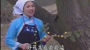 云南山歌《好花红》好听音乐背景音乐视频音乐爱奇艺