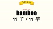 85、《超级记忆法》30秒记住单词 bamboo 竹子;原创完整版视频在线观看爱奇艺