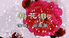 《梅花泪》云菲菲 视频歌曲