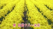 一首好听的歌曲《十八姑娘一朵花》很经典音乐高清MV在线观看–爱奇艺