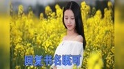 秘密花园全文章节 在线阅读 【大结局】原创完整版视频在线观看爱奇艺